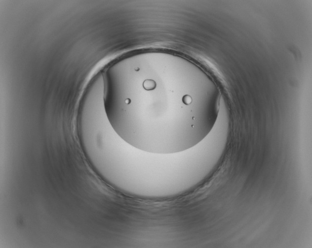 X0000113291324200910131018