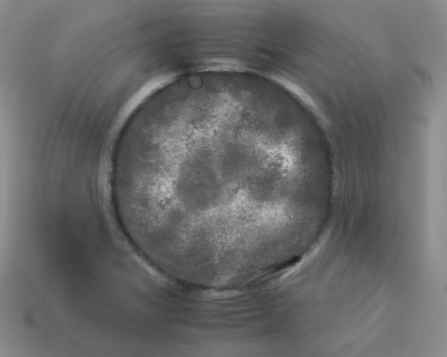 X0000113291325200910131018