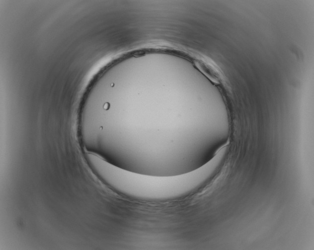 X0000113291326200910131018