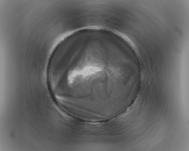 X0000113291327200910131018