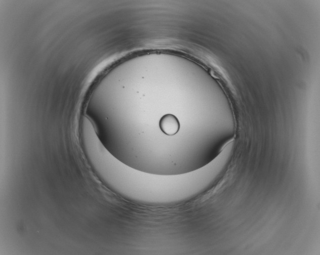 X0000113291328200910131018