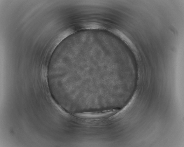 X0000113291329200910131018