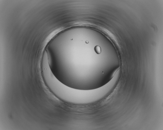 X0000113291330200910131018