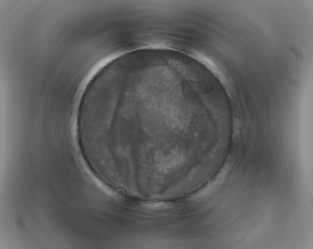 X0000113291331200910131018