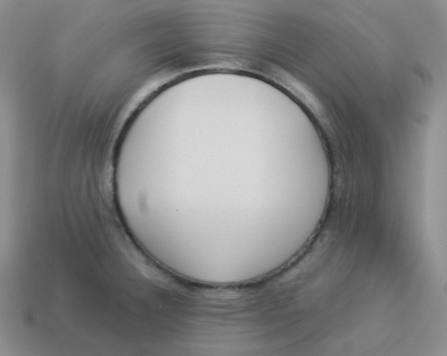 X0000113291332200910131018