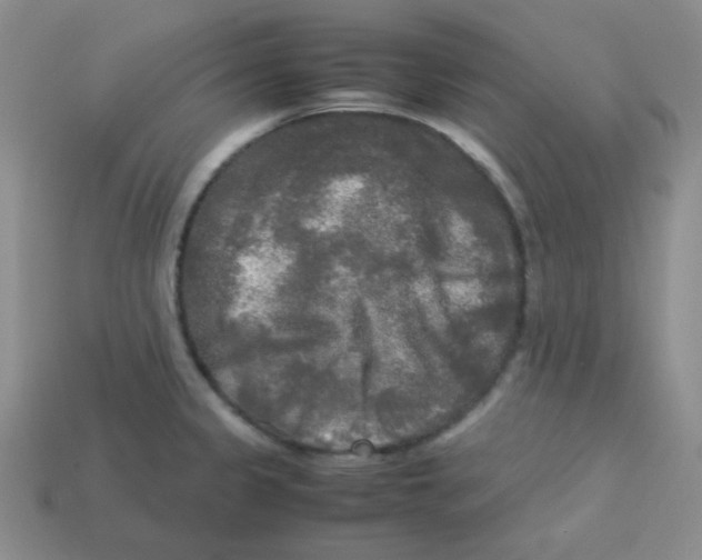 X0000113291333200910131018