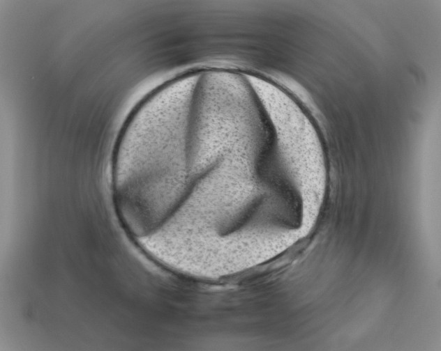 X0000113291335200910131018
