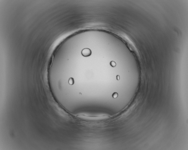 X0000113291336200910131018