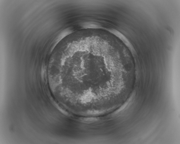 X0000113291337200910131018