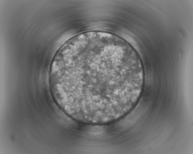X0000113291338200910131018