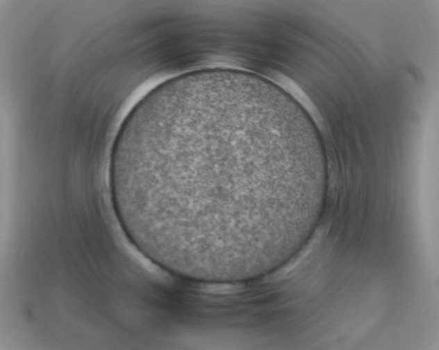 X0000113291339200910131018