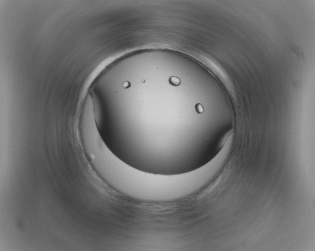 X0000113291340200910131018