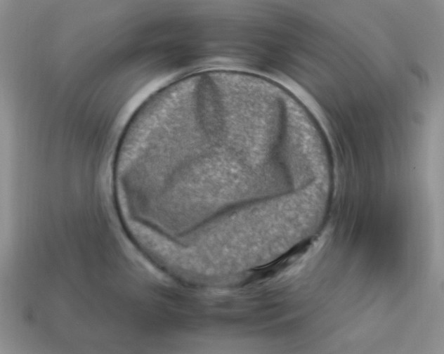 X0000113291341200910131018