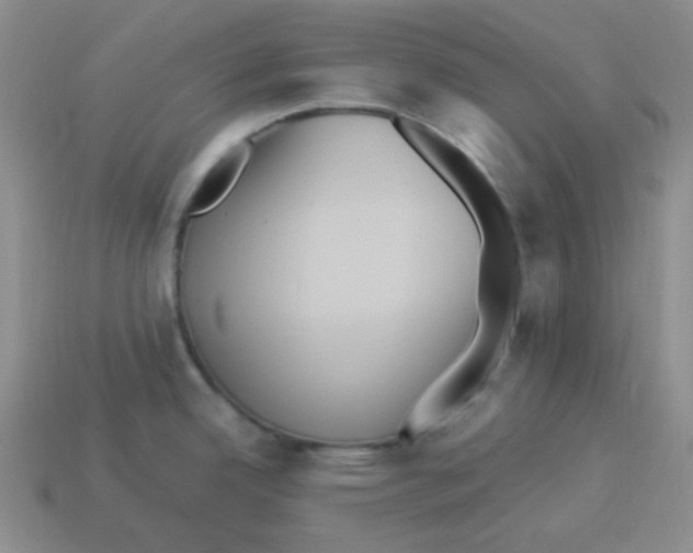 X0000113291342200910131018