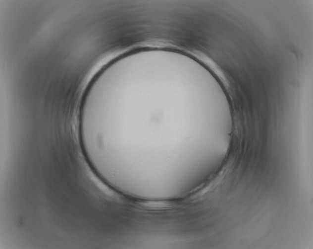 X0000113291343200910131018