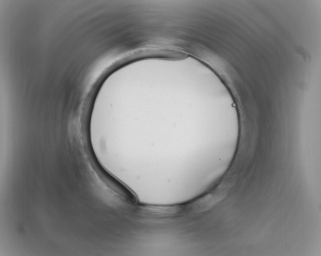 X0000113291344200910131018