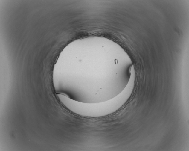 X0000113291345200910131018