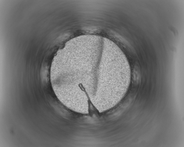 X0000113291346200910131018