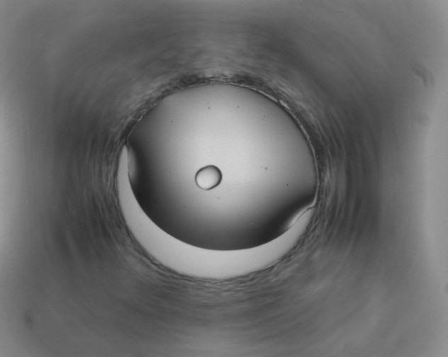X0000113291348200910131018