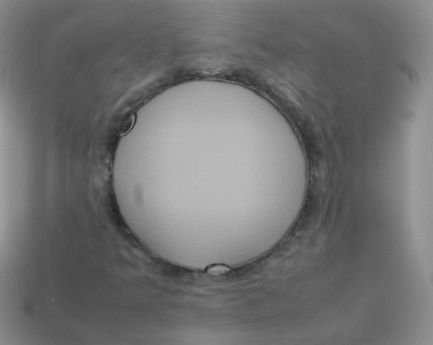 X0000113291349200910131018