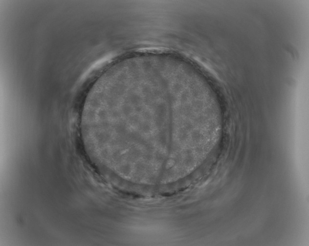 X0000113291351200910131018