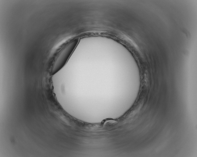 X0000113291352200910131018