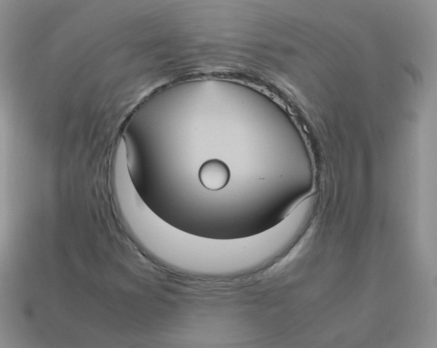 X0000113291353200910131018