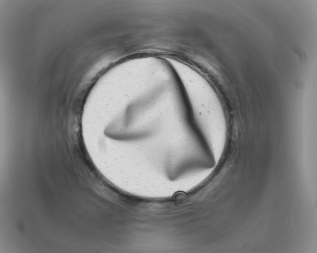 X0000113291355200910131018