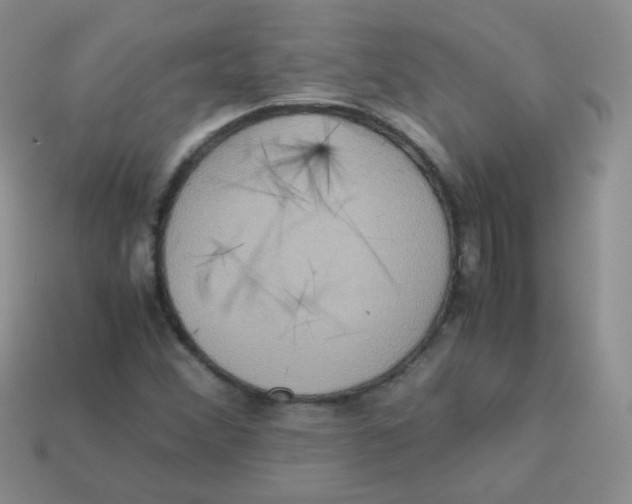 X0000113291356200910131018