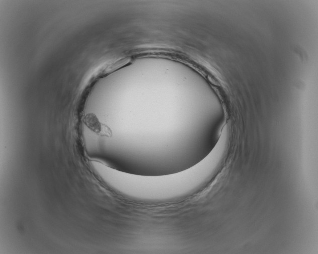 X0000113291357200910131018