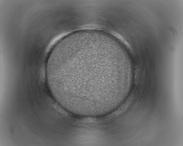 X0000113291358200910131018