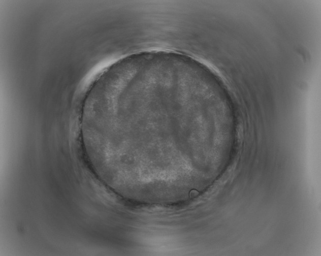 X0000113291359200910131018