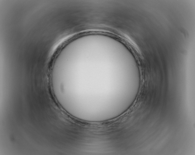 X0000113291360200910131018