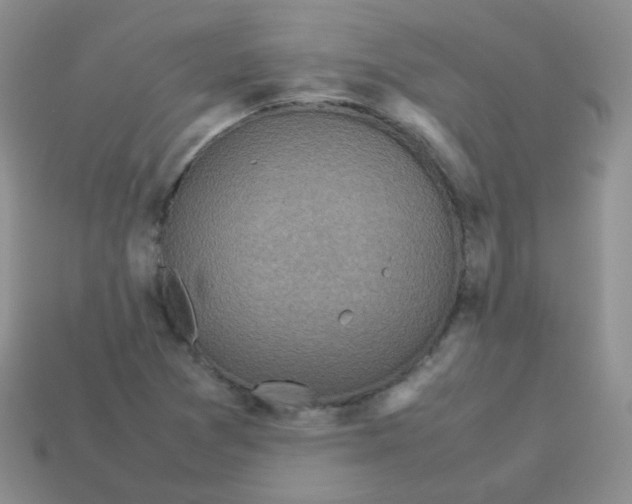 X0000113291361200910131018