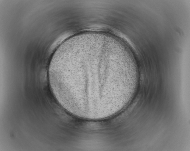 X0000113291362200910131018