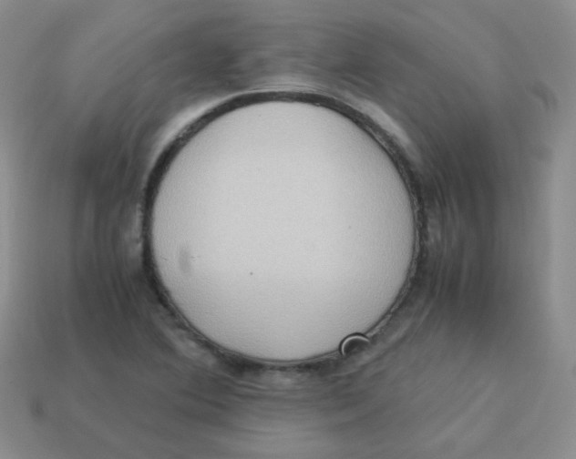 X0000113291364200910131017
