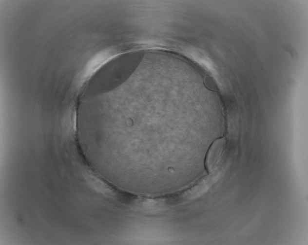 X0000113291365200910131017