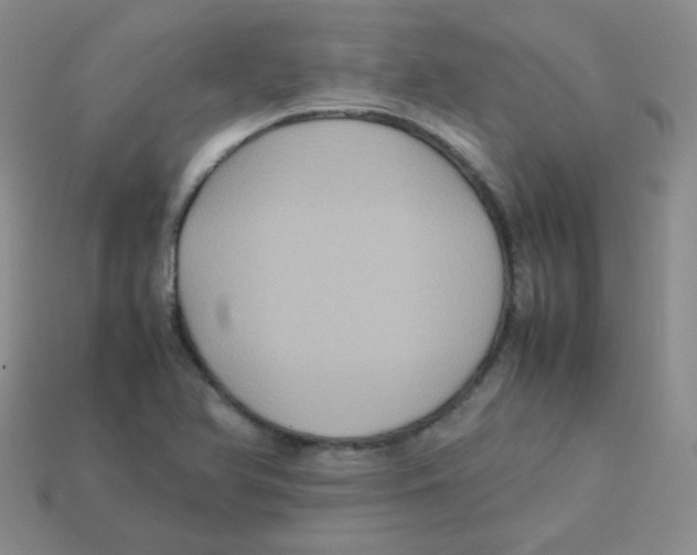 X0000113291366200910131017