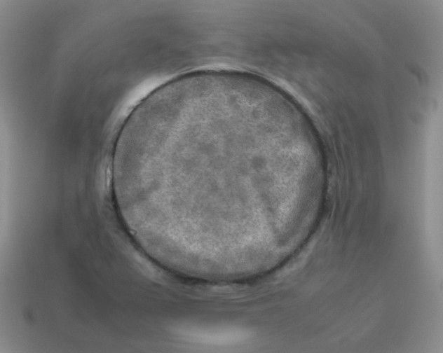 X0000113291367200910131017