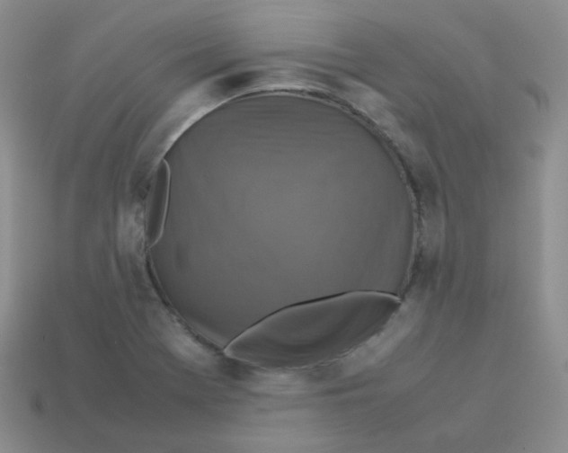 X0000113291369200910131017
