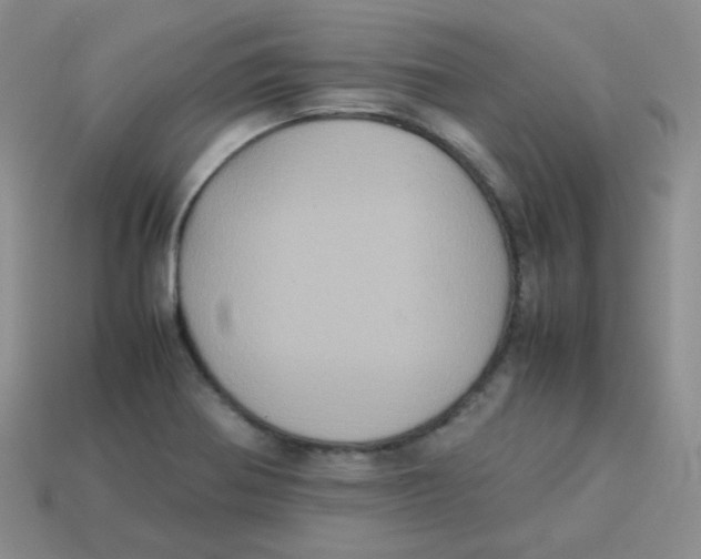 X0000113291370200910131017
