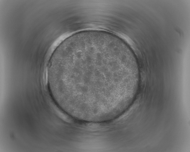 X0000113291371200910131017