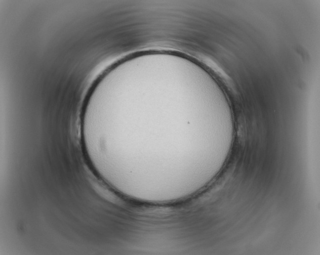 X0000113291372200910131017