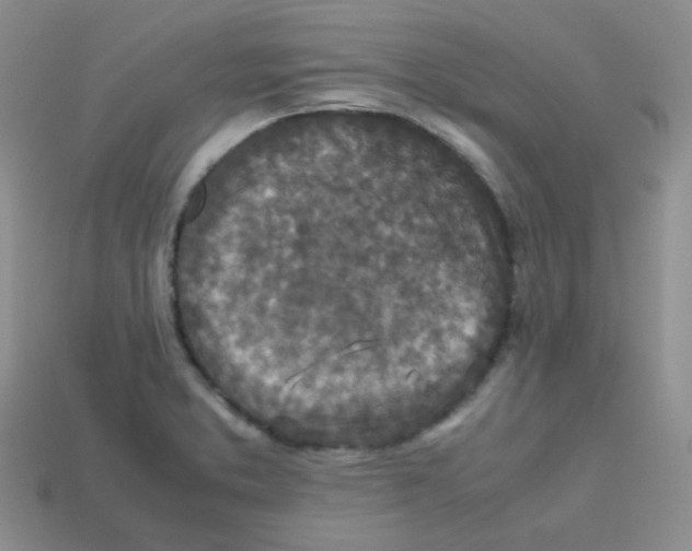 X0000113291373200910131017