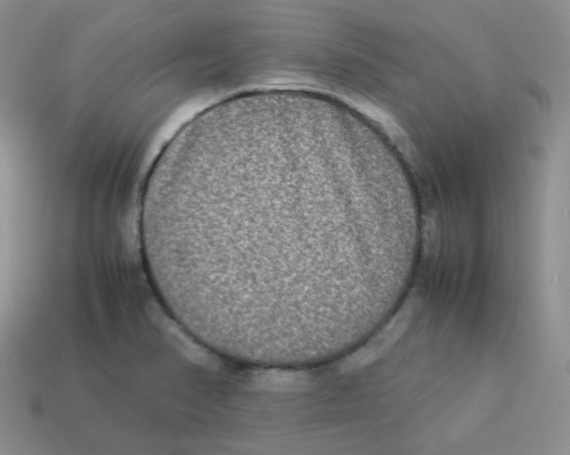 X0000113291374200910131017
