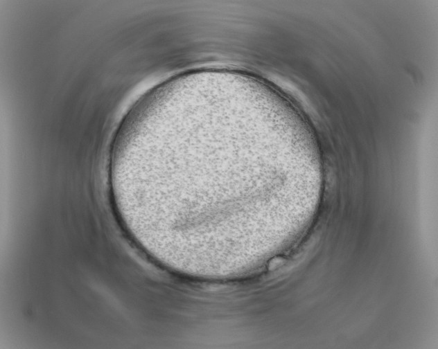 X0000113291375200910131017