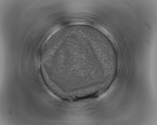 X0000113291377200910131017