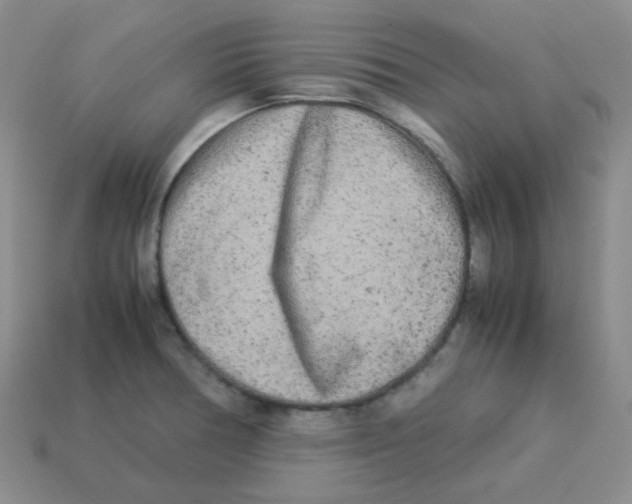 X0000113291378200910131017