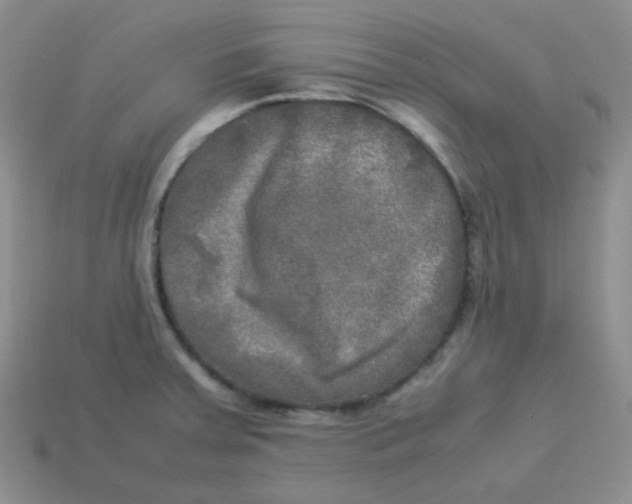 X0000113291379200910131017