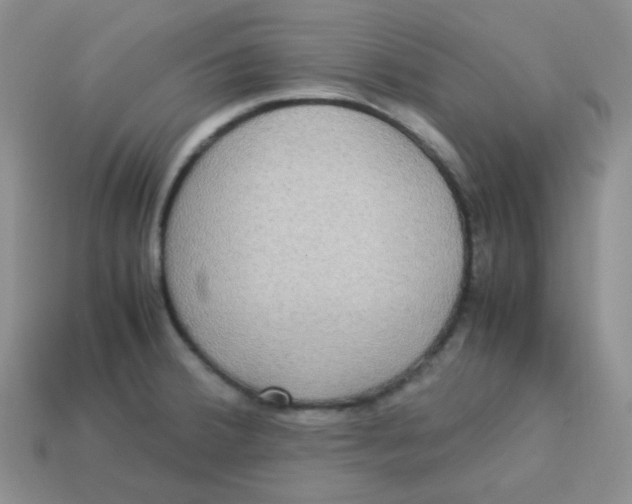 X0000113291380200910131017